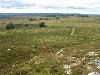 _Photo278.jpg